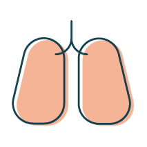 This icon is of lungs. It represents a lung function test