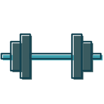 This icon is of a barbell. It represents muscle strength test